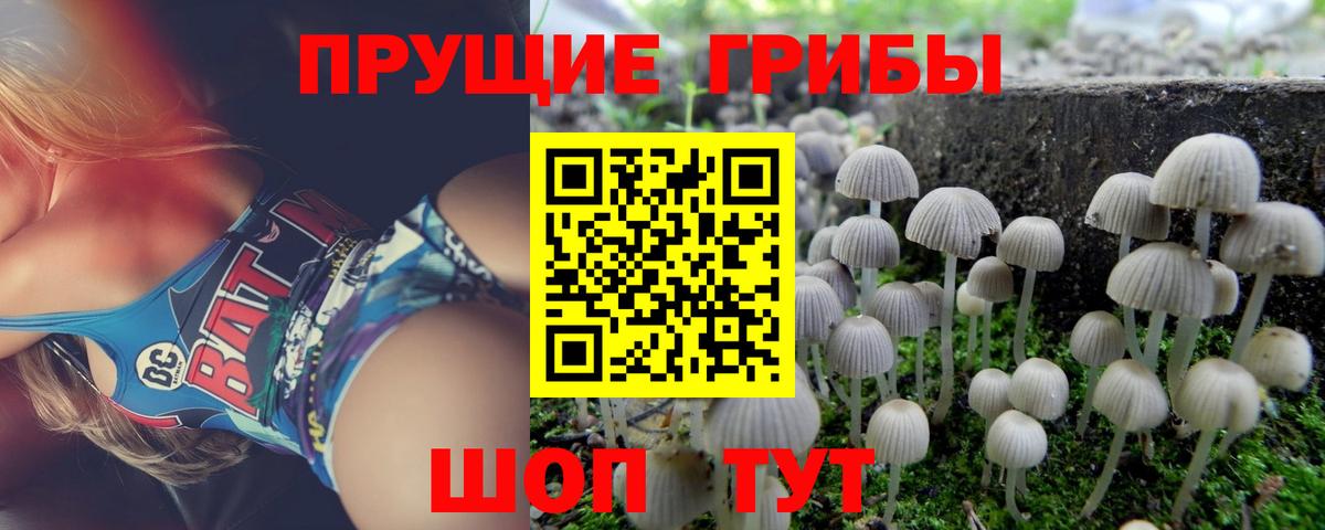 Псилоцибиновые грибы мухоморы Качканар