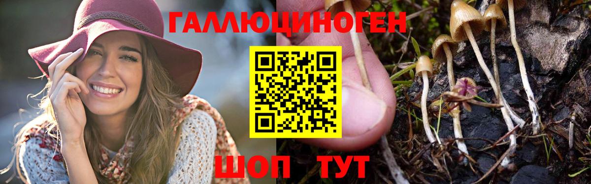 Псилоцибиновые грибы GOLDEN TEACHER  Вход с VPN  Качканар 